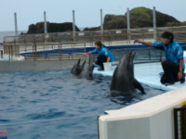 日帰り旅行1班（松島水族館）2